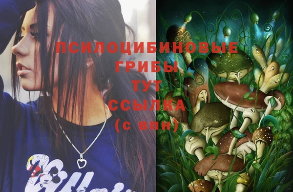 прущий лед Волосово